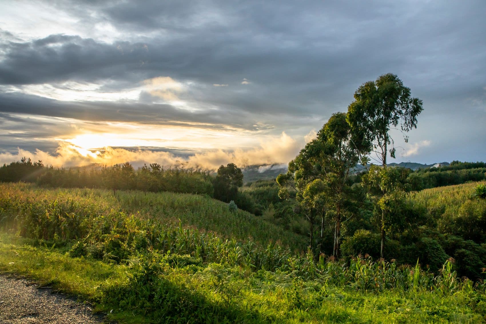 Having the needs of nature in sight