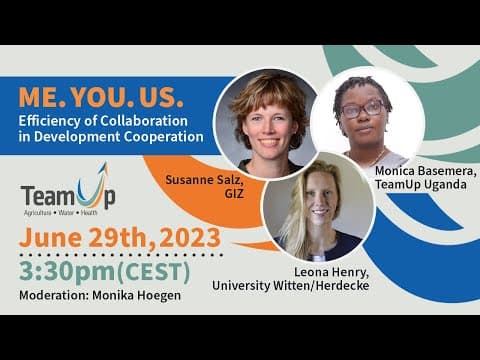 Me. You. Us. Efficiency of Collaboration in Development Cooperation