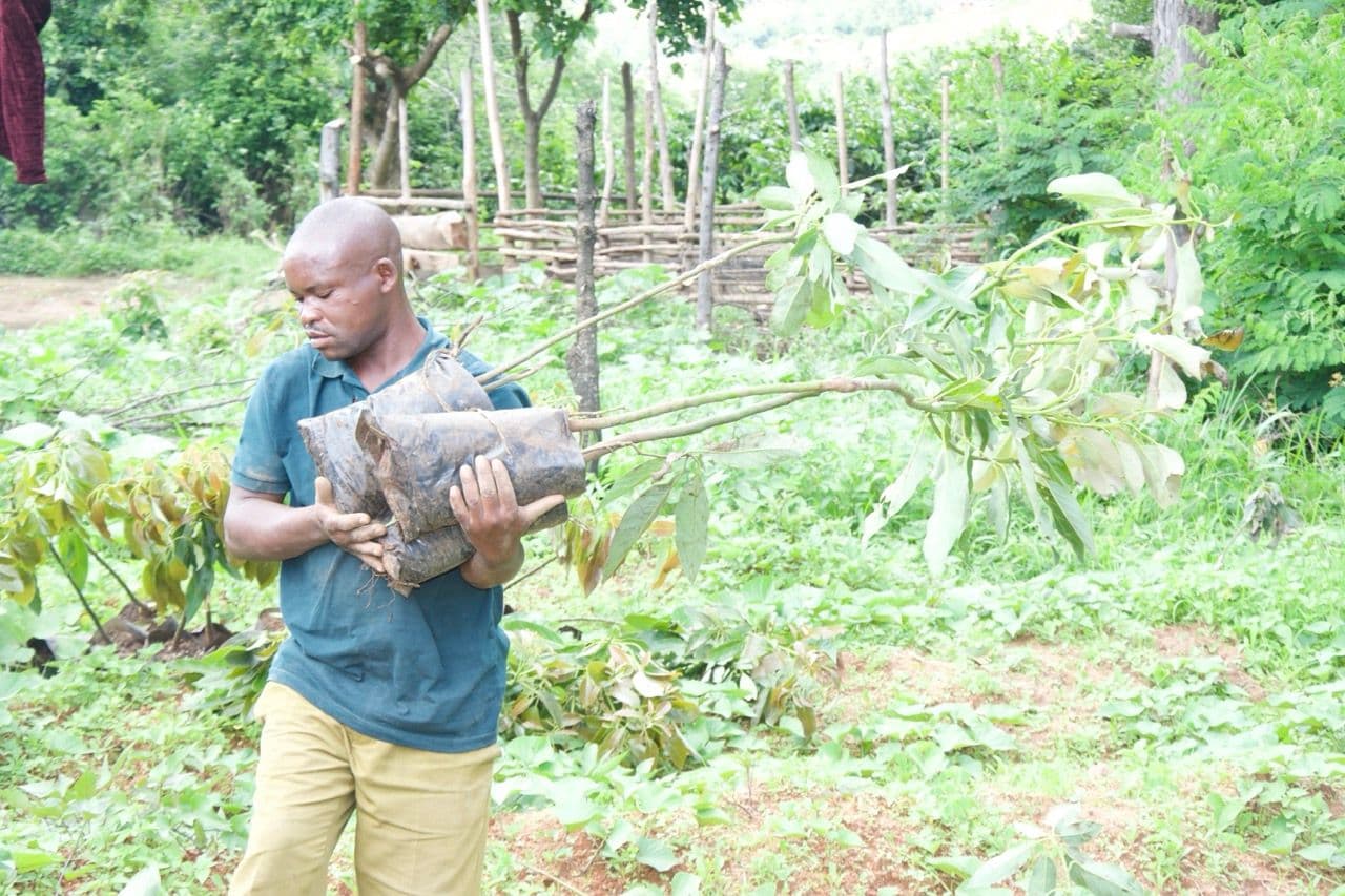 Planting trees to reduce carbon emissions Farmer planting Tree
