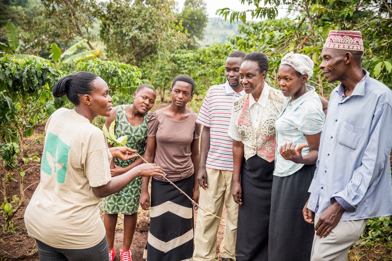 Theory of Change Theory of Change