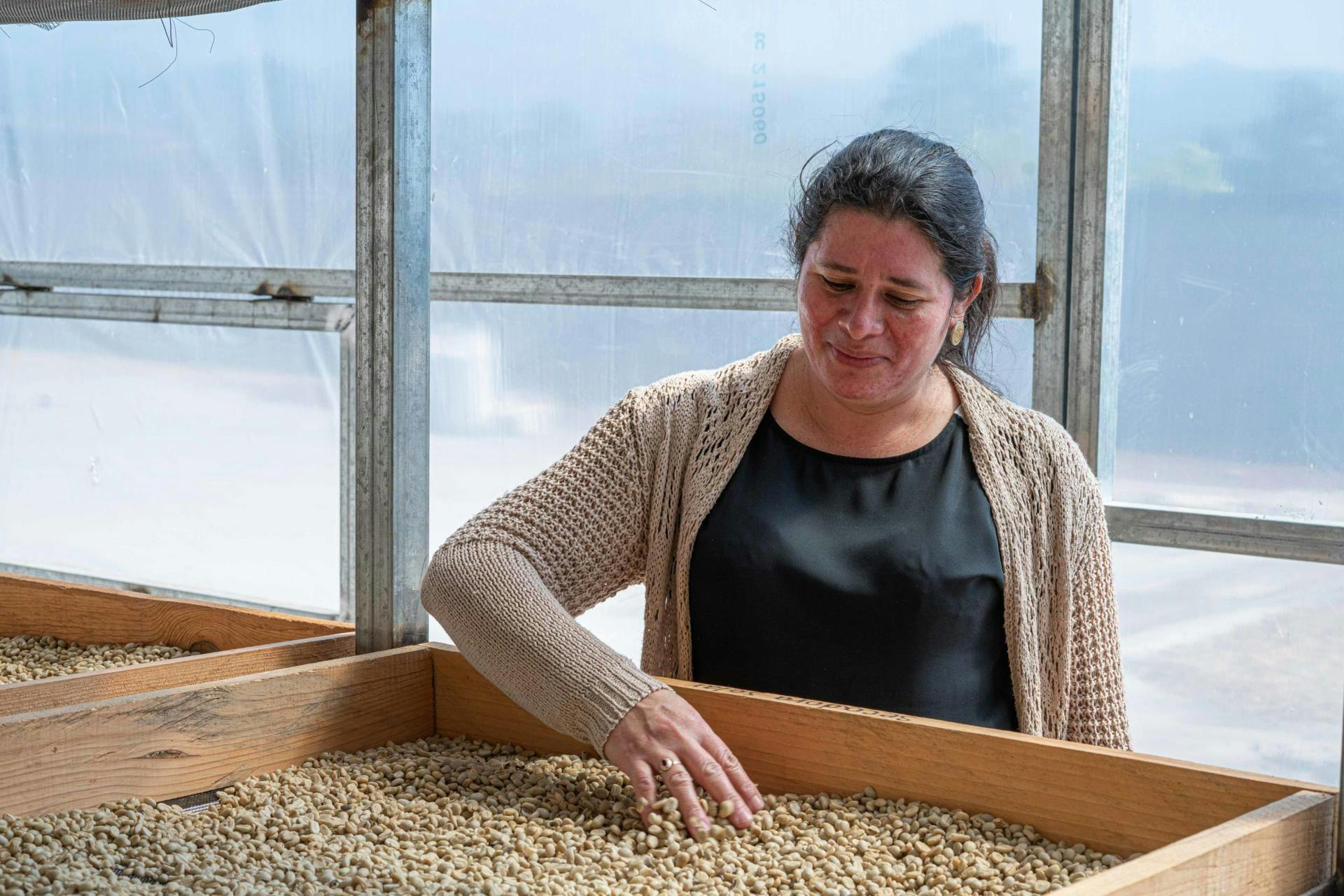 María overseeing coffee quality and commercialization in COPRANIL