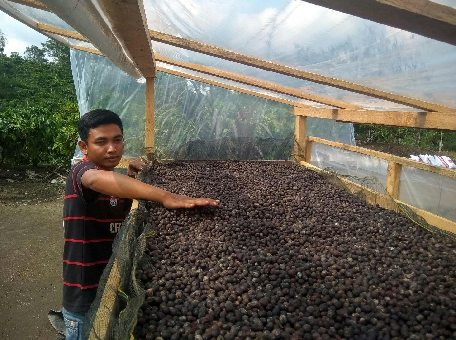 An innovative young farmer with a passion for improving coffee cultivation
