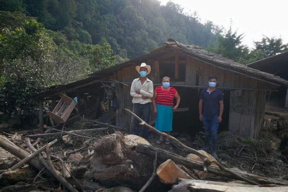 Destruction and uncertainty hit smallholder communities in Honduras and Guatemala after Hurricane Eta