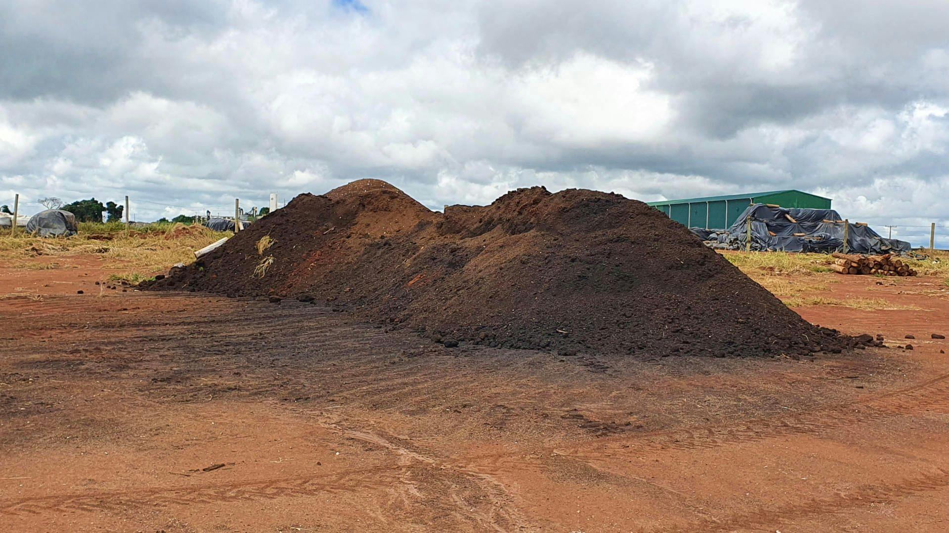 Organic compost ready to be applied to coffee plants