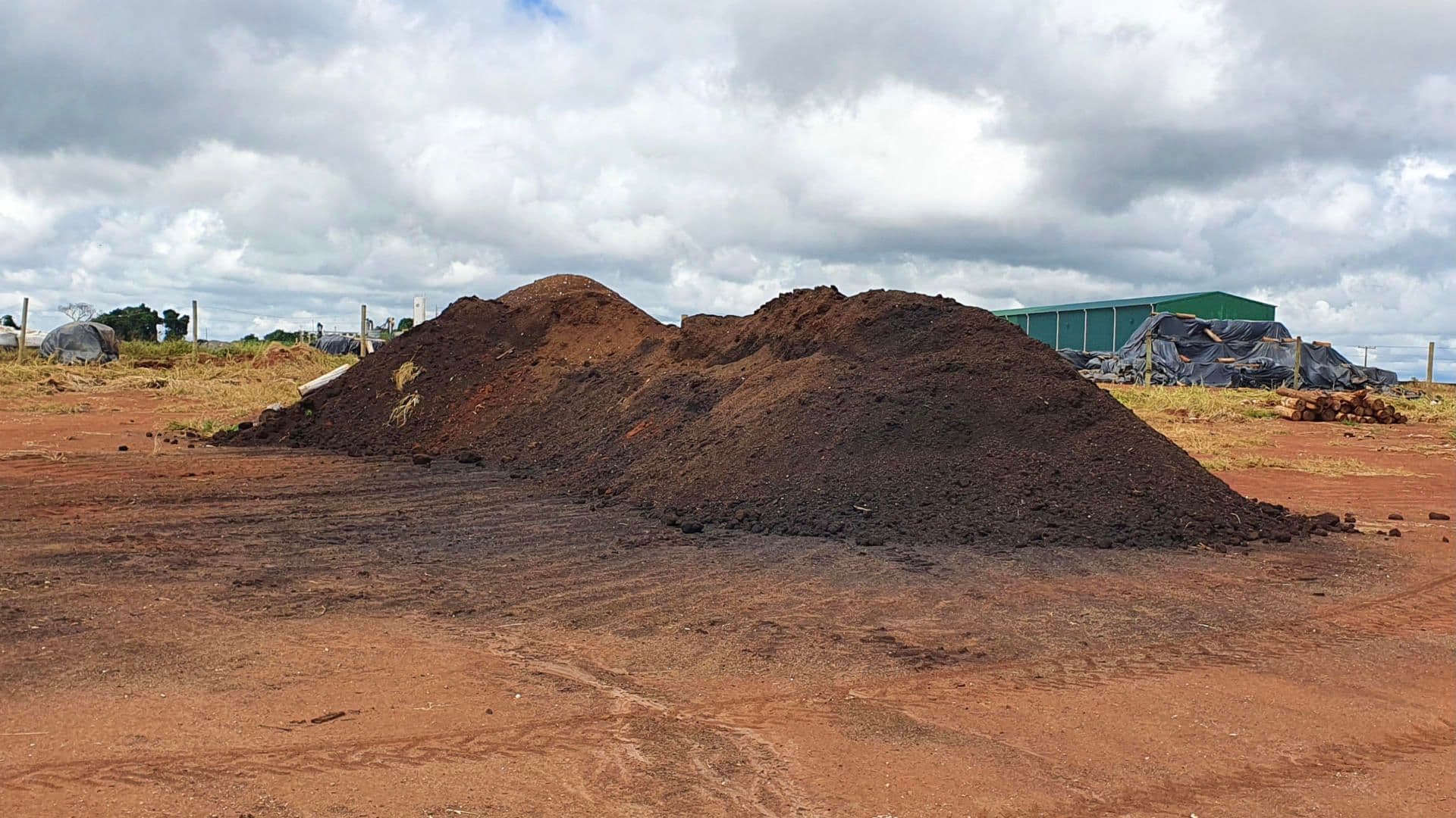 Organic compost ready to be applied to coffee plants