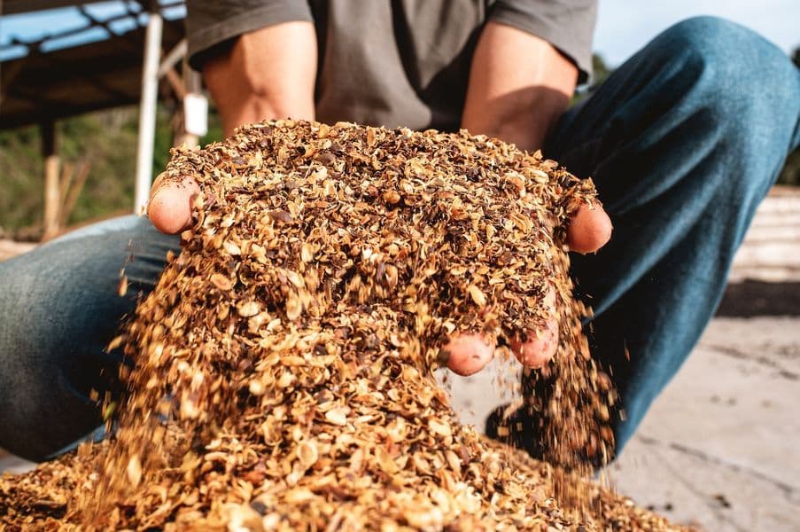 Coffee husks which can be reused as organic compost 