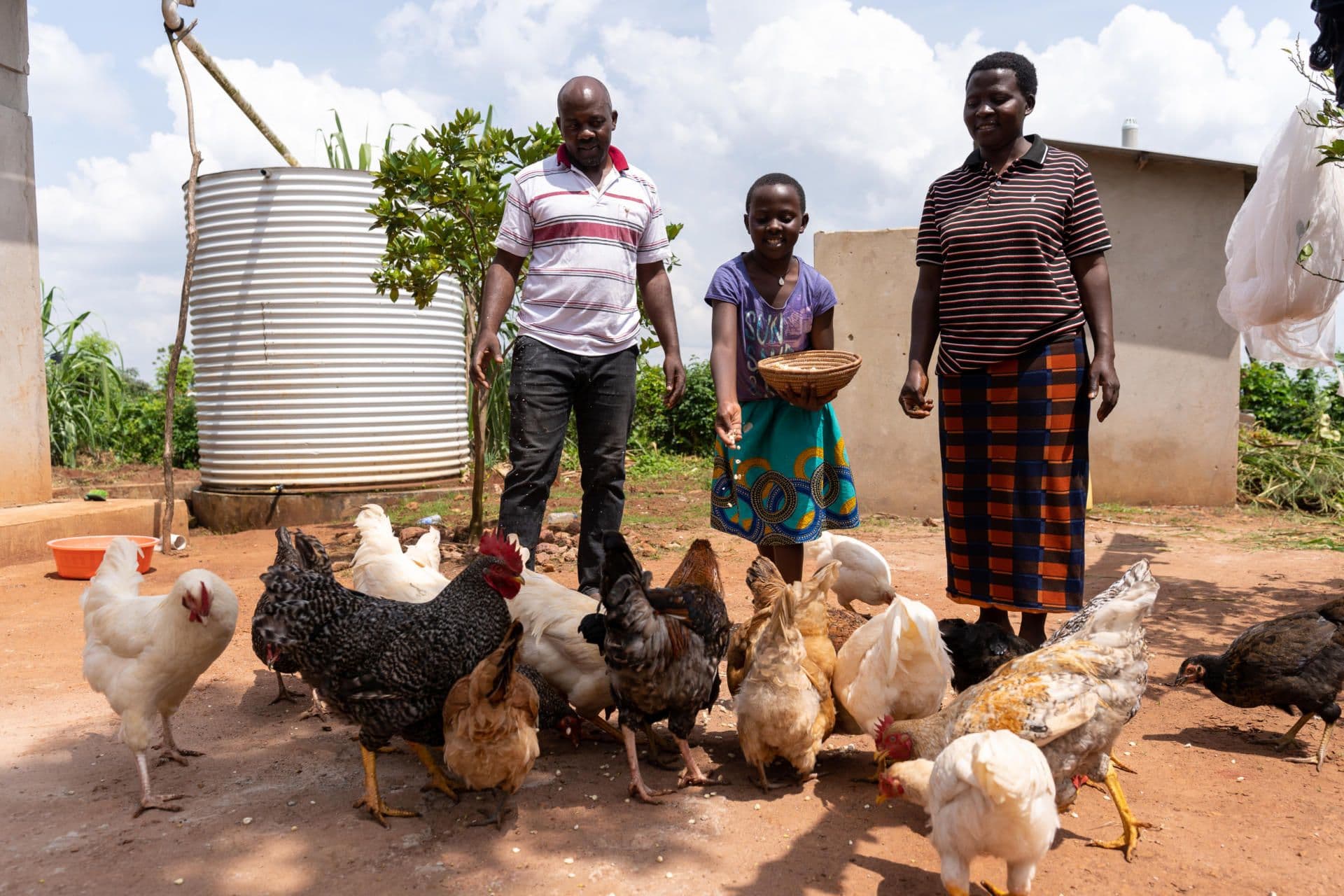Fred, Dorothy and their daughter feed the chickens Fred, Dorothy and their daughter feed the chickens