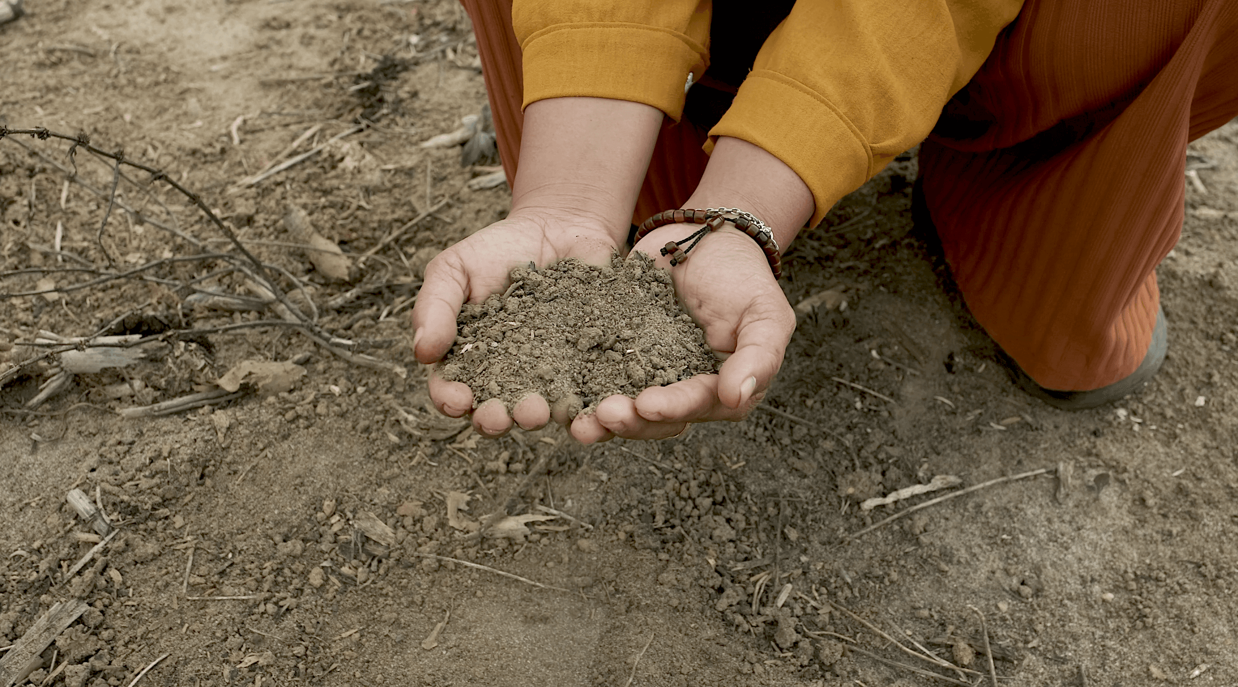 Broken Soil
