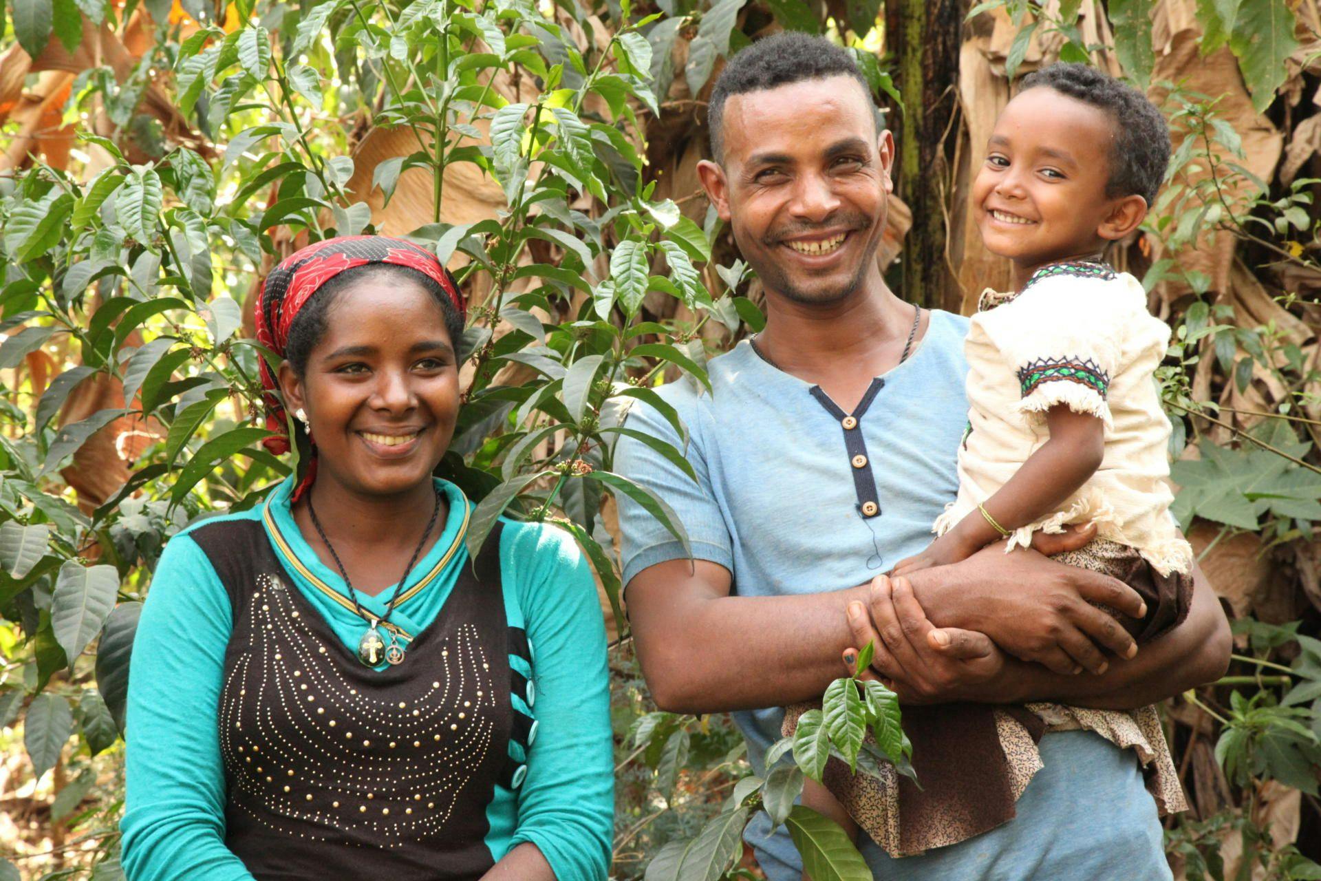 Ethiopian farming family whose livelihoods depends on coffee