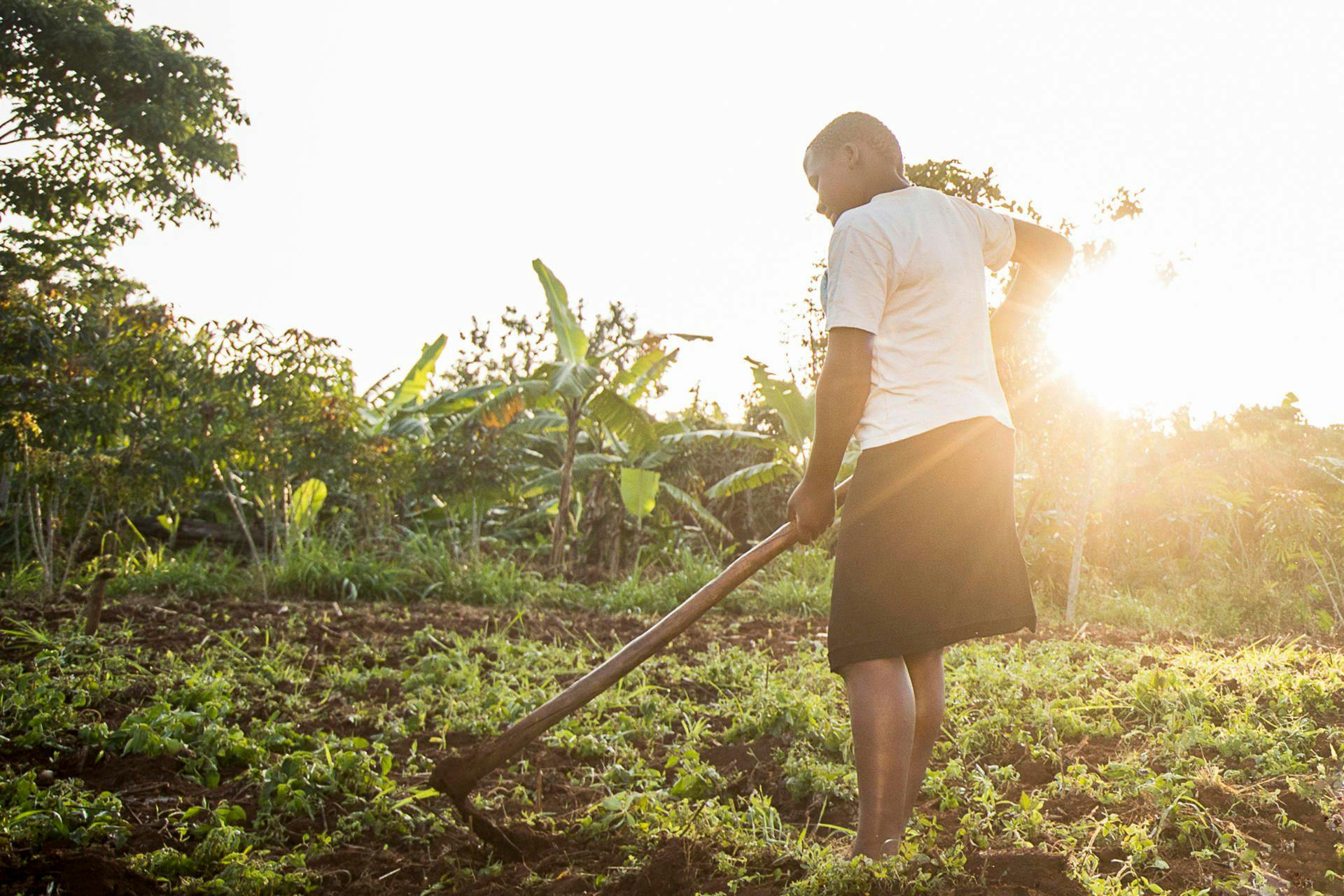 Young Ugandan wins entrepreneurship award for her organic fertilizer