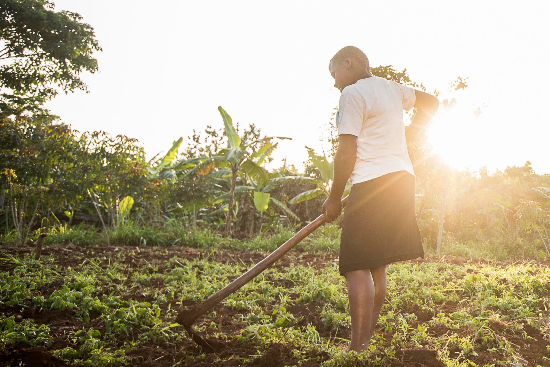 Young Ugandan wins entrepreneurship award for her organic fertilizer Young Ugandan wins entrepreneurship award for her organic fertilizer