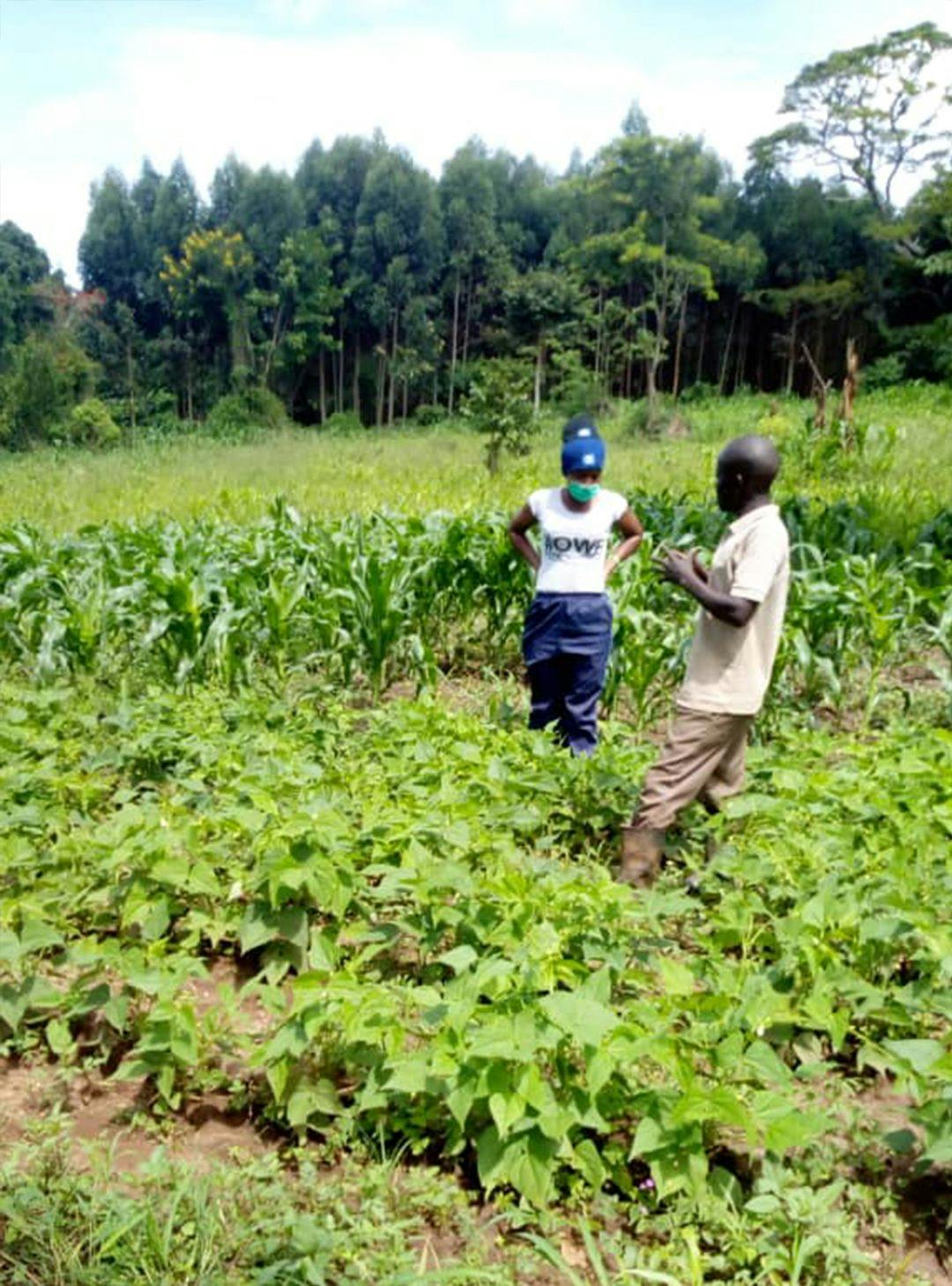 Jackie discussing progress of beans and maize at a demonstration plot.