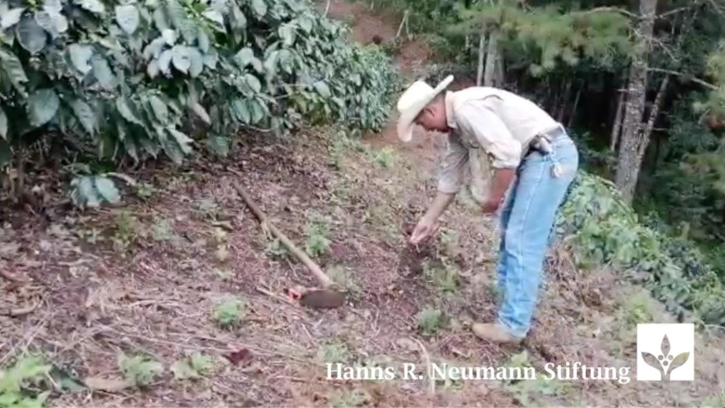 Buenas Prácticas Agrícolas: Obras de conservación de suelo