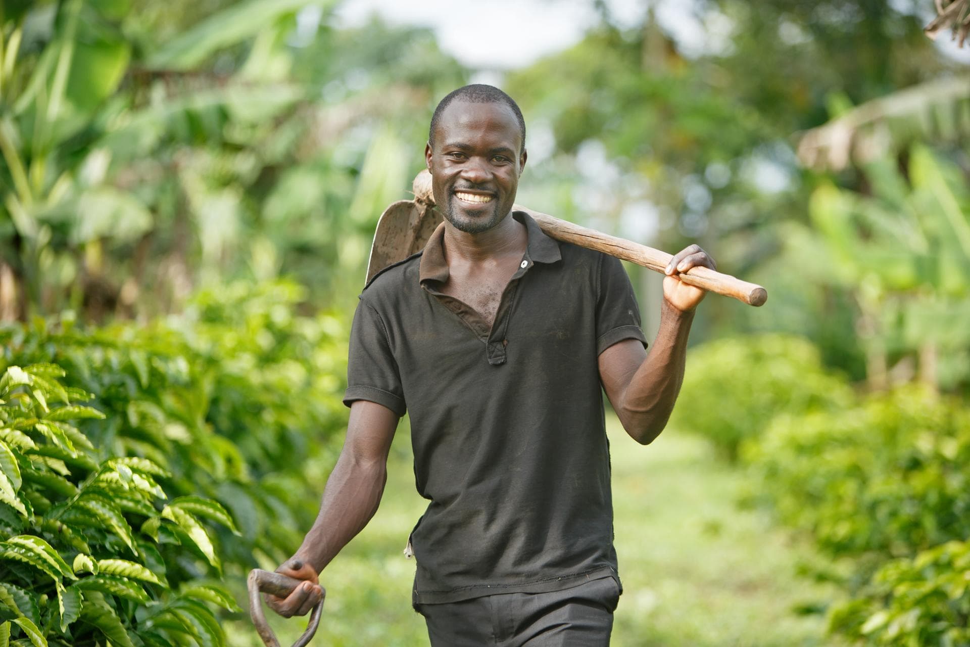 Better Results Through Collaboration in Development Cooperation Better Results Through Collaboration in Development Cooperation