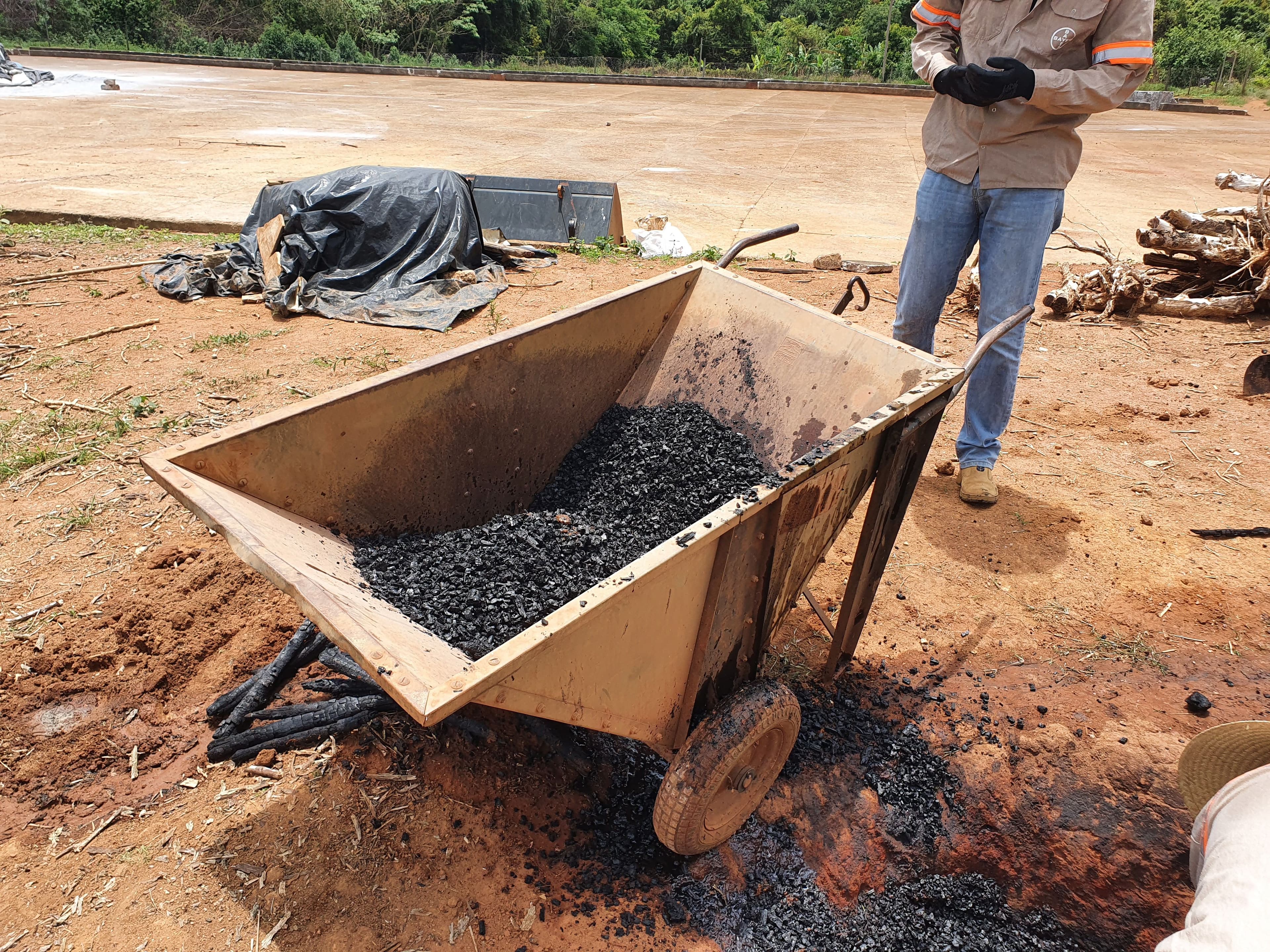 Biochar in a wheelbarrow