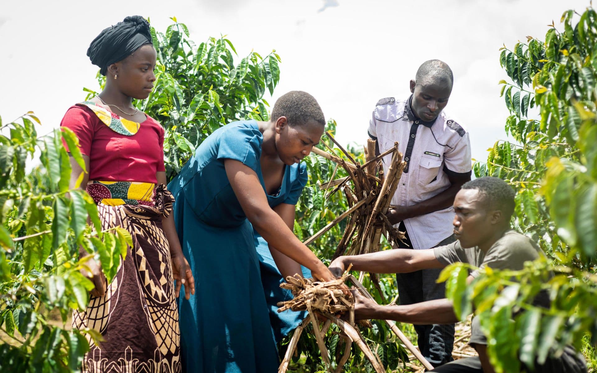 Rural youth can improve their lives – HRNS Tanzania has proven it Rural youth can improve their lives – HRNS Tanzania has proven it
