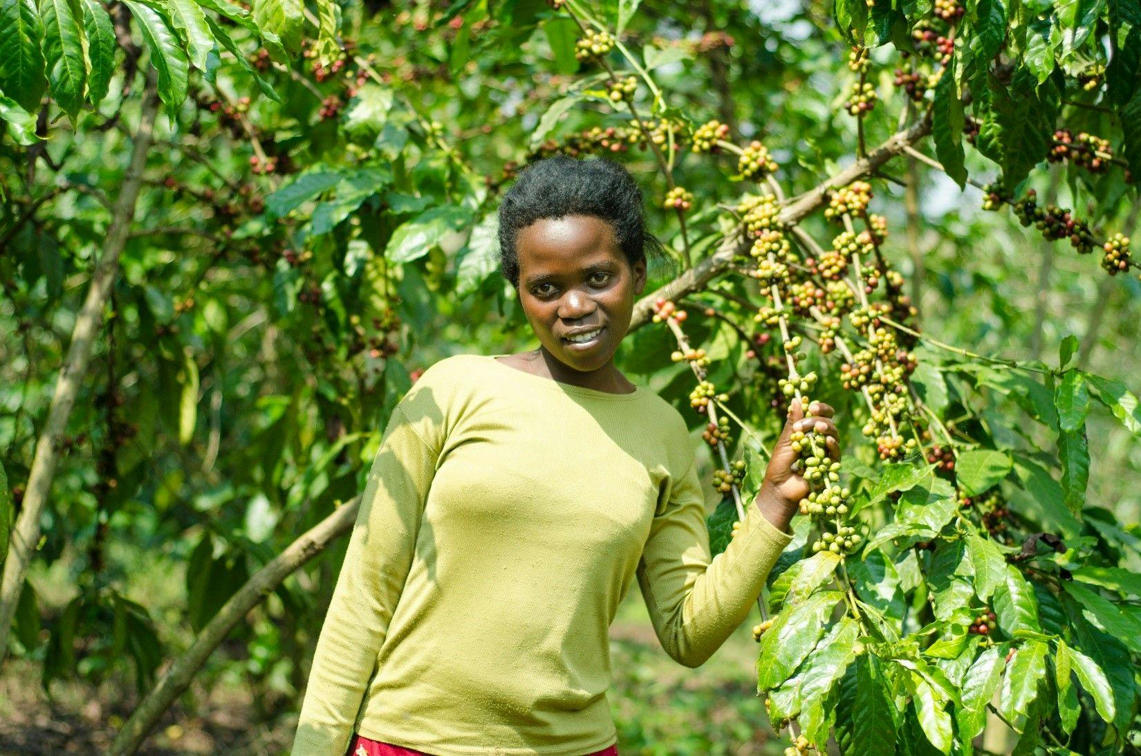 Cloudine in her coffee farm financed through the KYDP youth loan facility