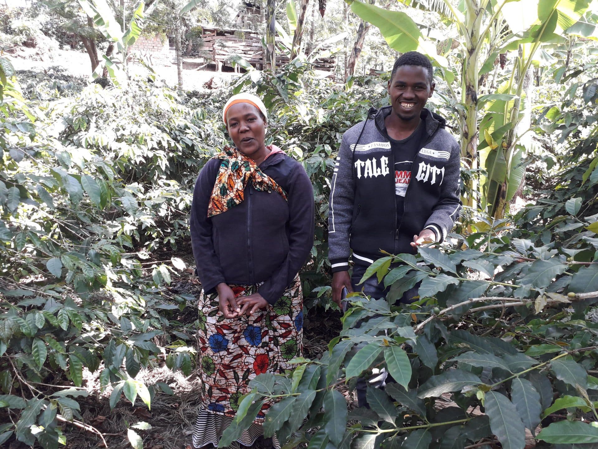 Wake up and smell the fries! Wake up and smell the fries!