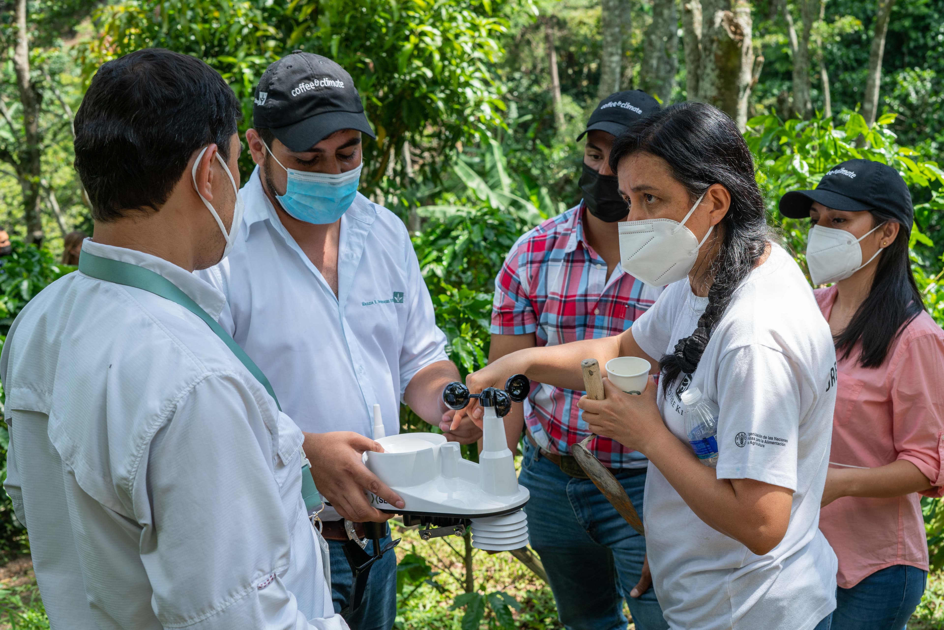 Weather stations support to improve coffee farming The initiative for coffee&climate uses modern technologies