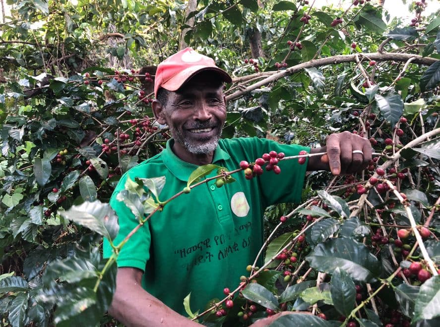 Finding Solutions to the Effects of COVID-19 on Ethiopian Farmers Finding Solutions to the Effects of COVID-19 on Ethiopian Farmers