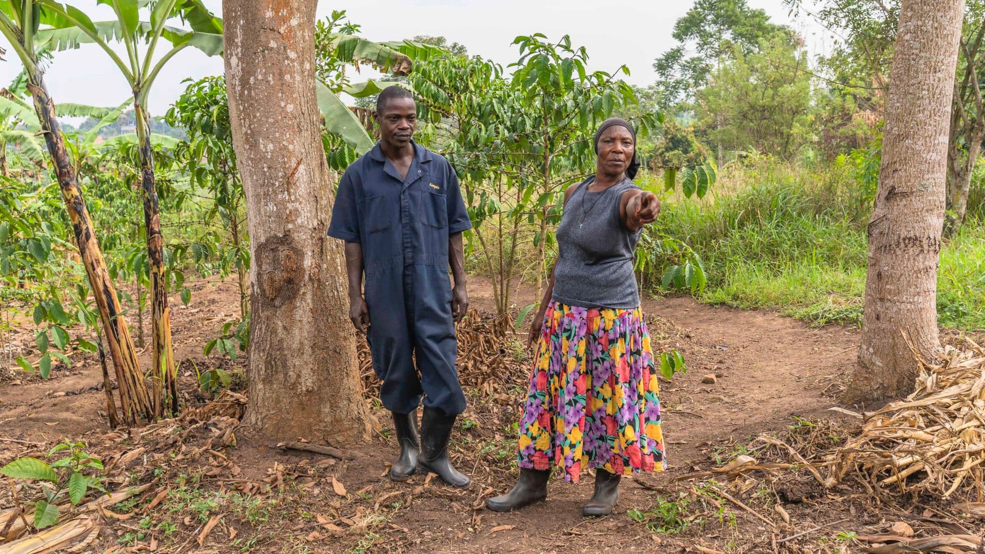 Ivan’s mother sharing her knowledge of coffee management with him Ivan’s mother sharing her knowledge of coffee management with him