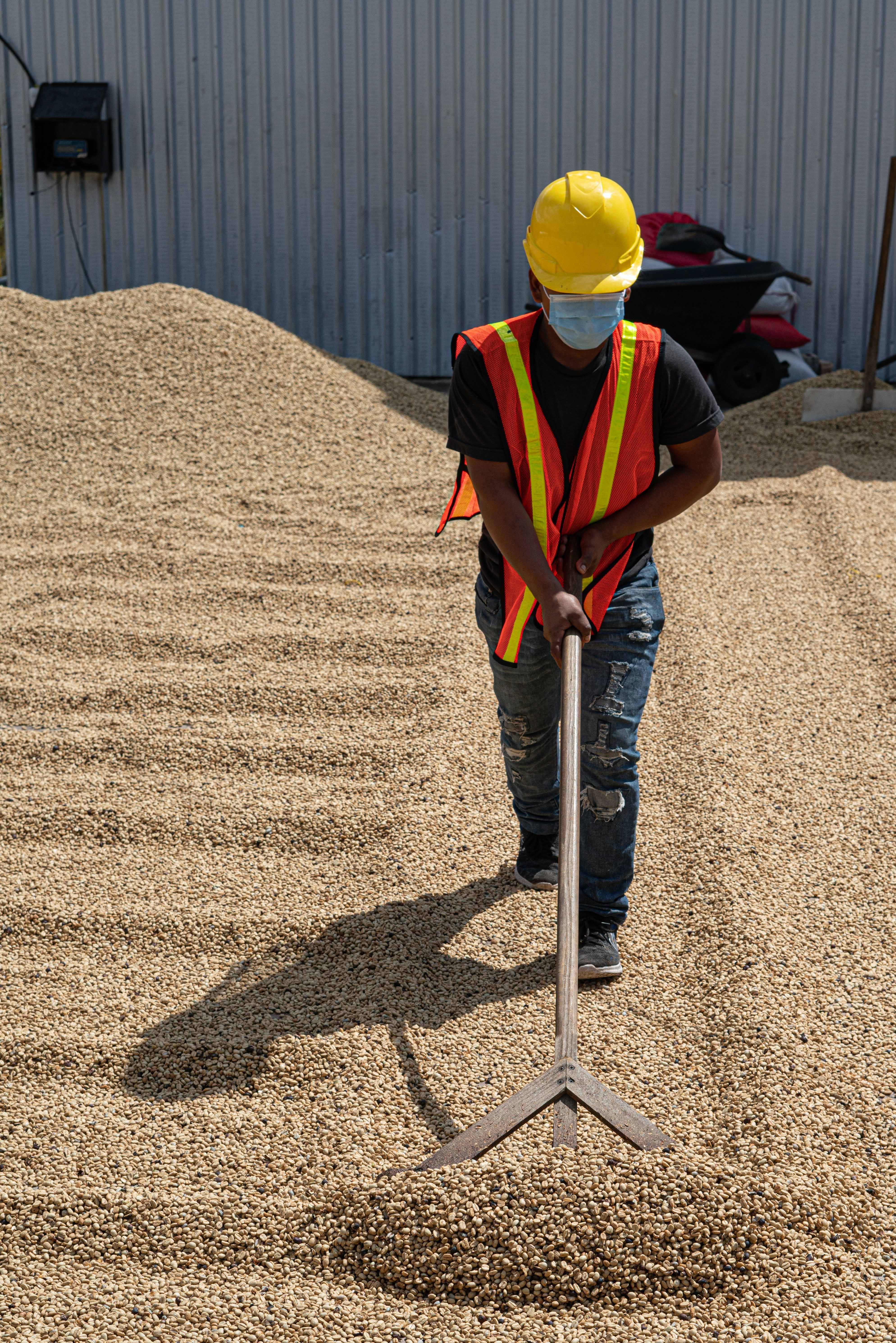 Farmer organizations are important supporters of smallholder families Smallholder families can achieve better prices through bulking