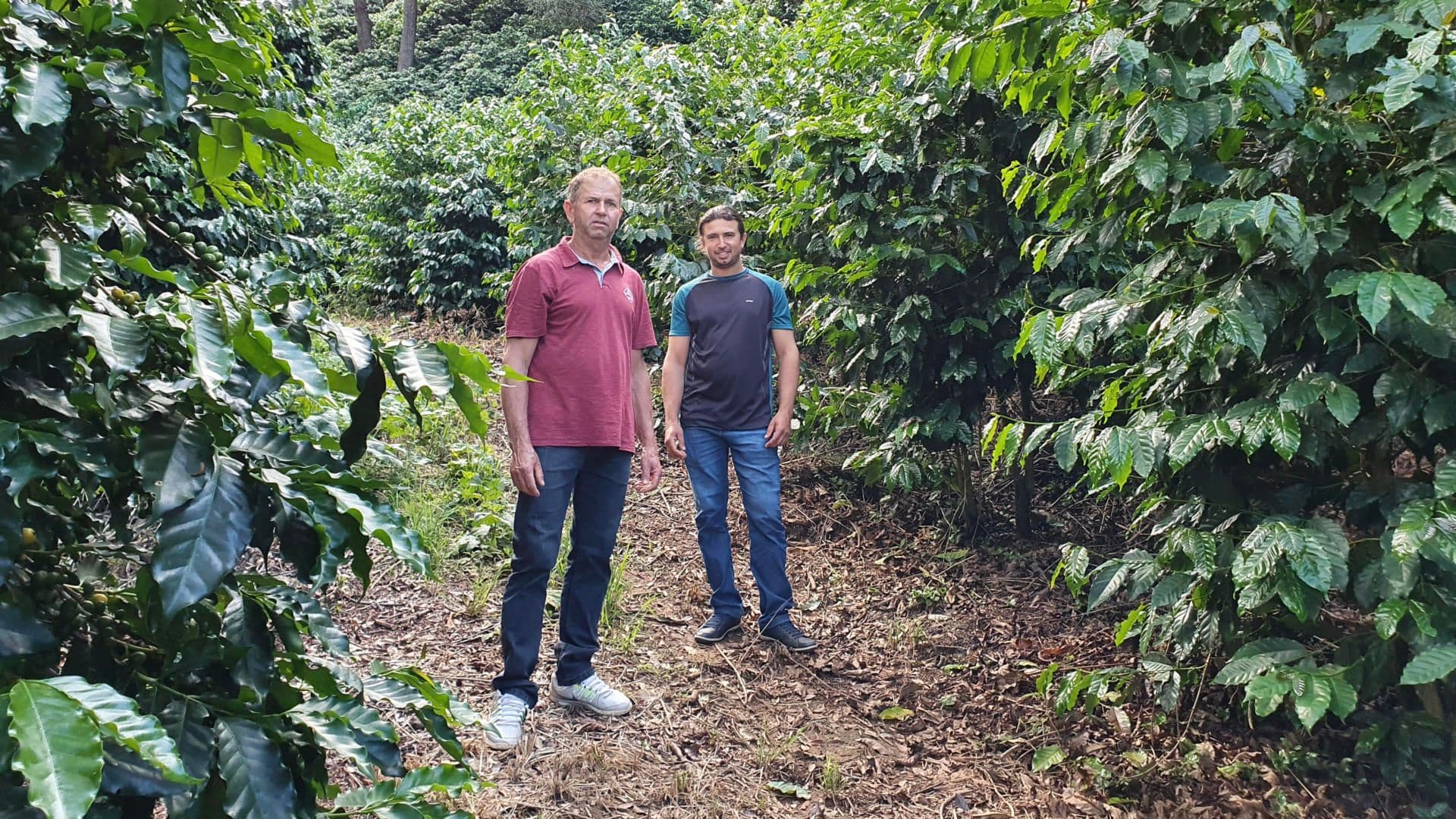Arlindo and José de Lelis Arlindo and José de Lelis