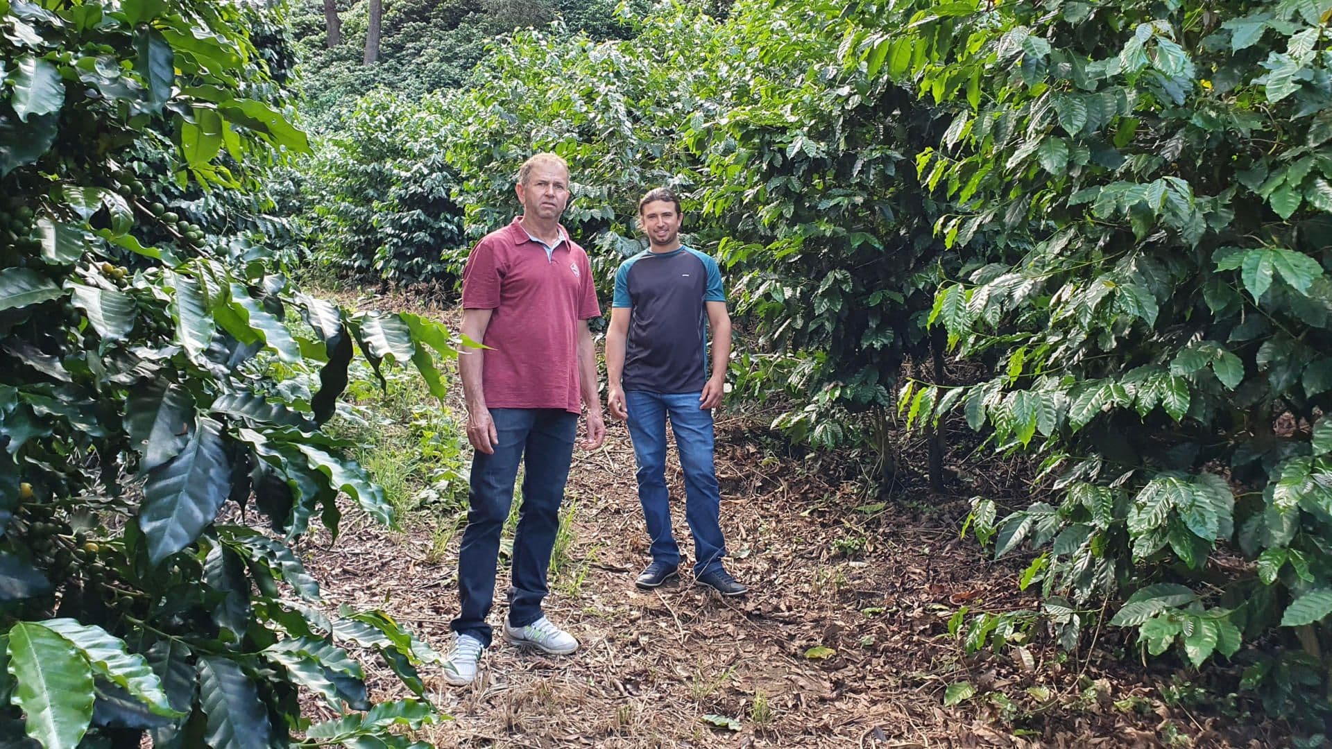 Arlindo and José de Lelis 