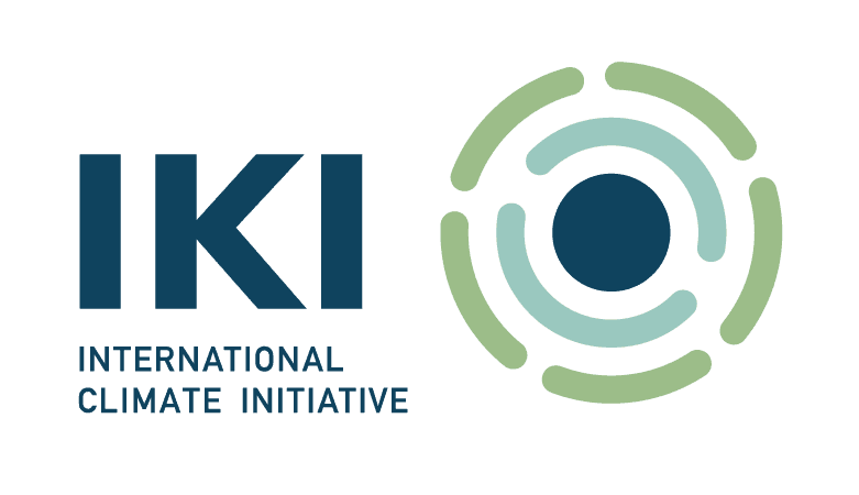 International Climate Initiative International Climate Initiative