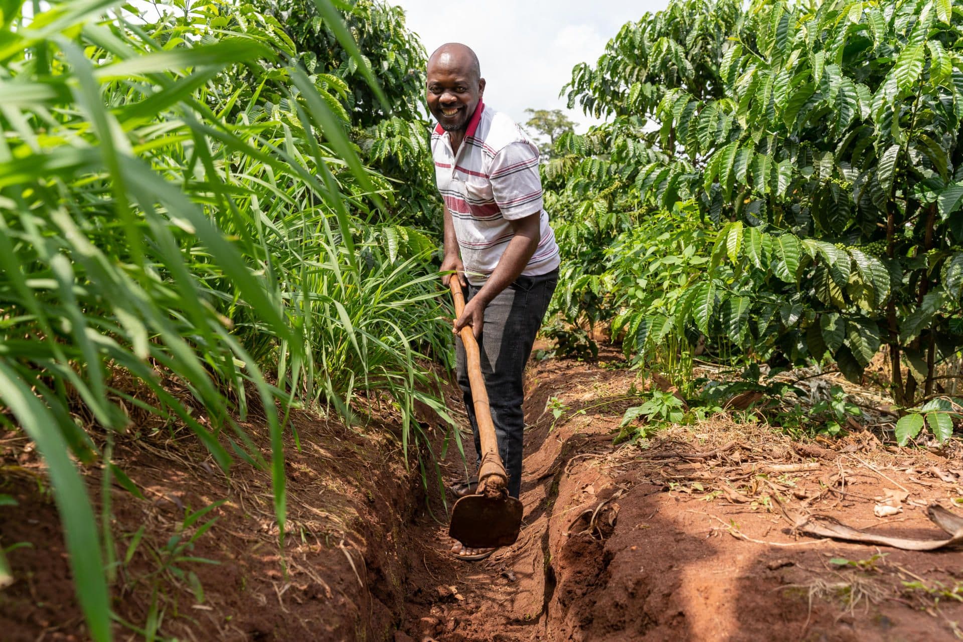 Digging trenches for soil and water conservation Digging trenches for soil and water conservation