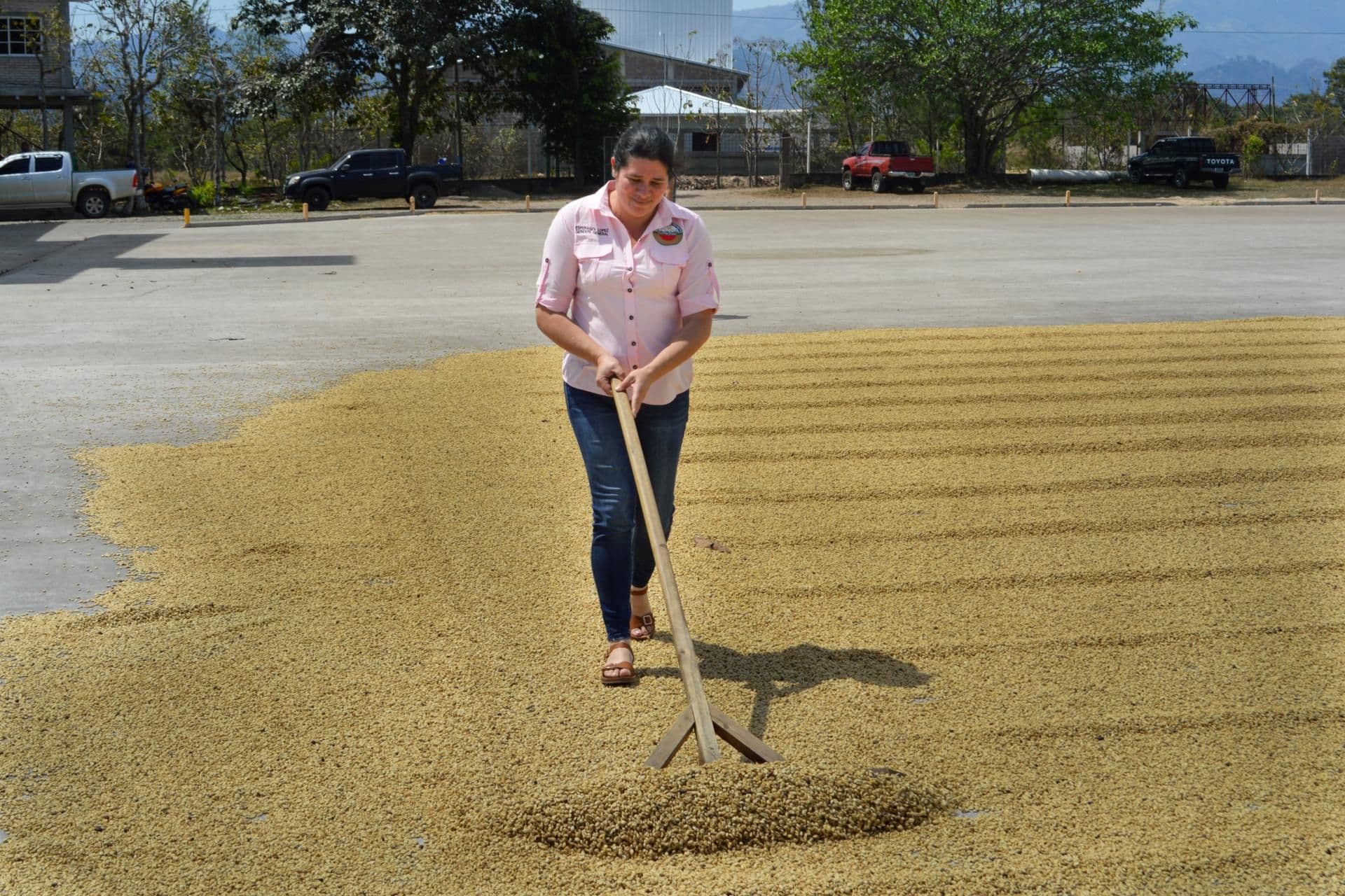 María overseeing coffee quality and commercialization in COPRANIL