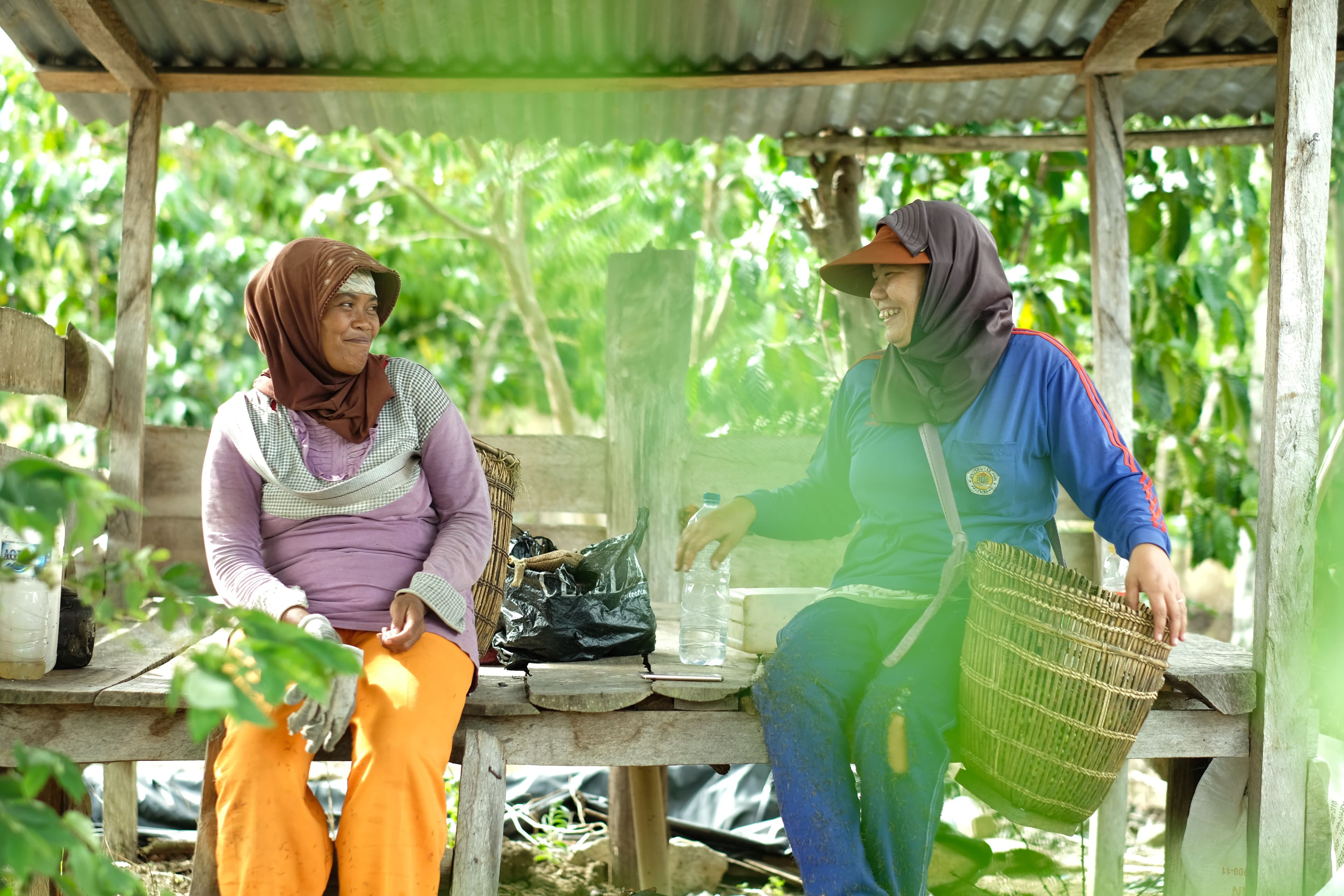 Smallholder farmers in Indonesia Women taking a chat during farmwork in Indonesia
