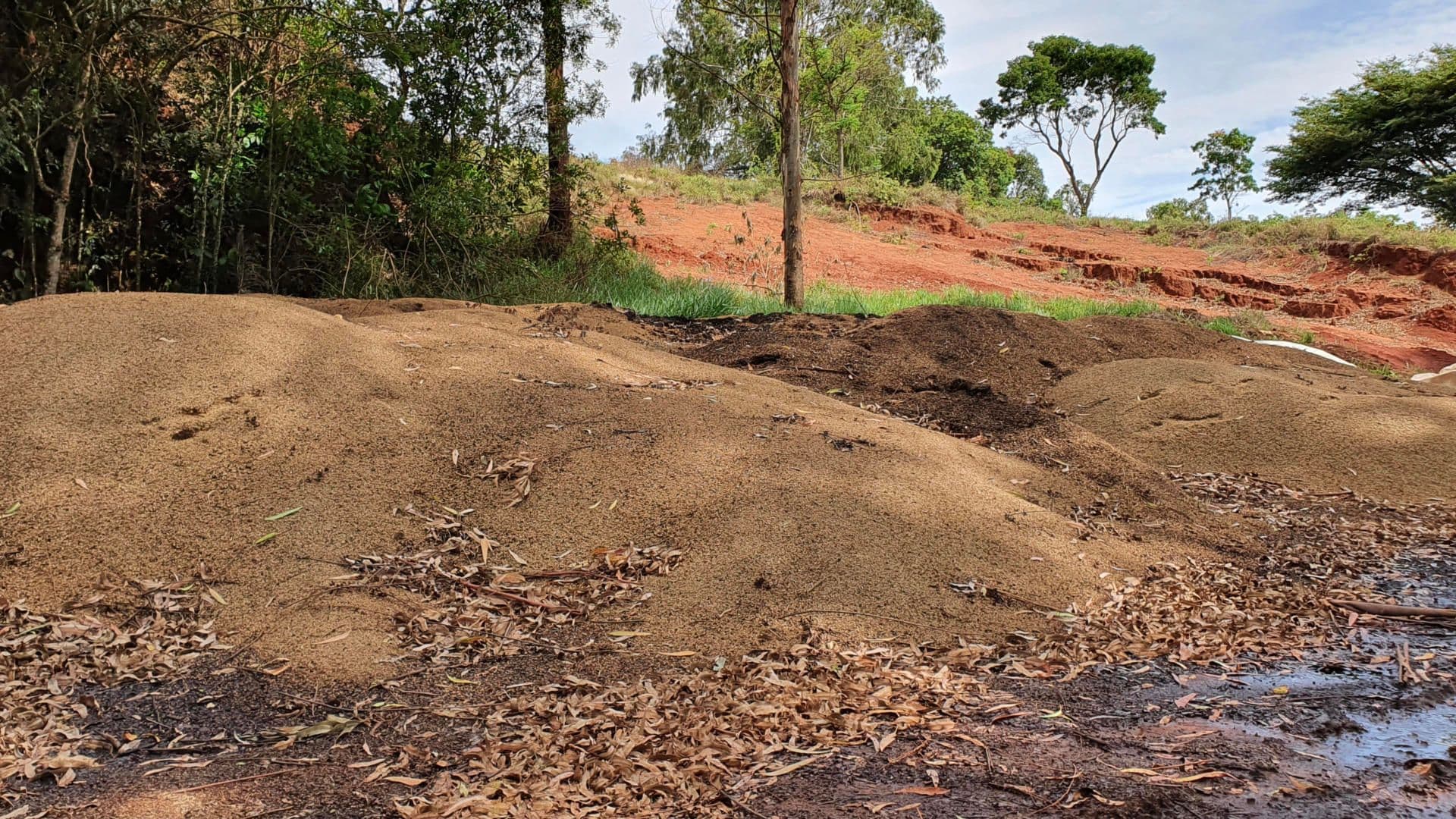 Coffee husk about to be mixed with manure and water