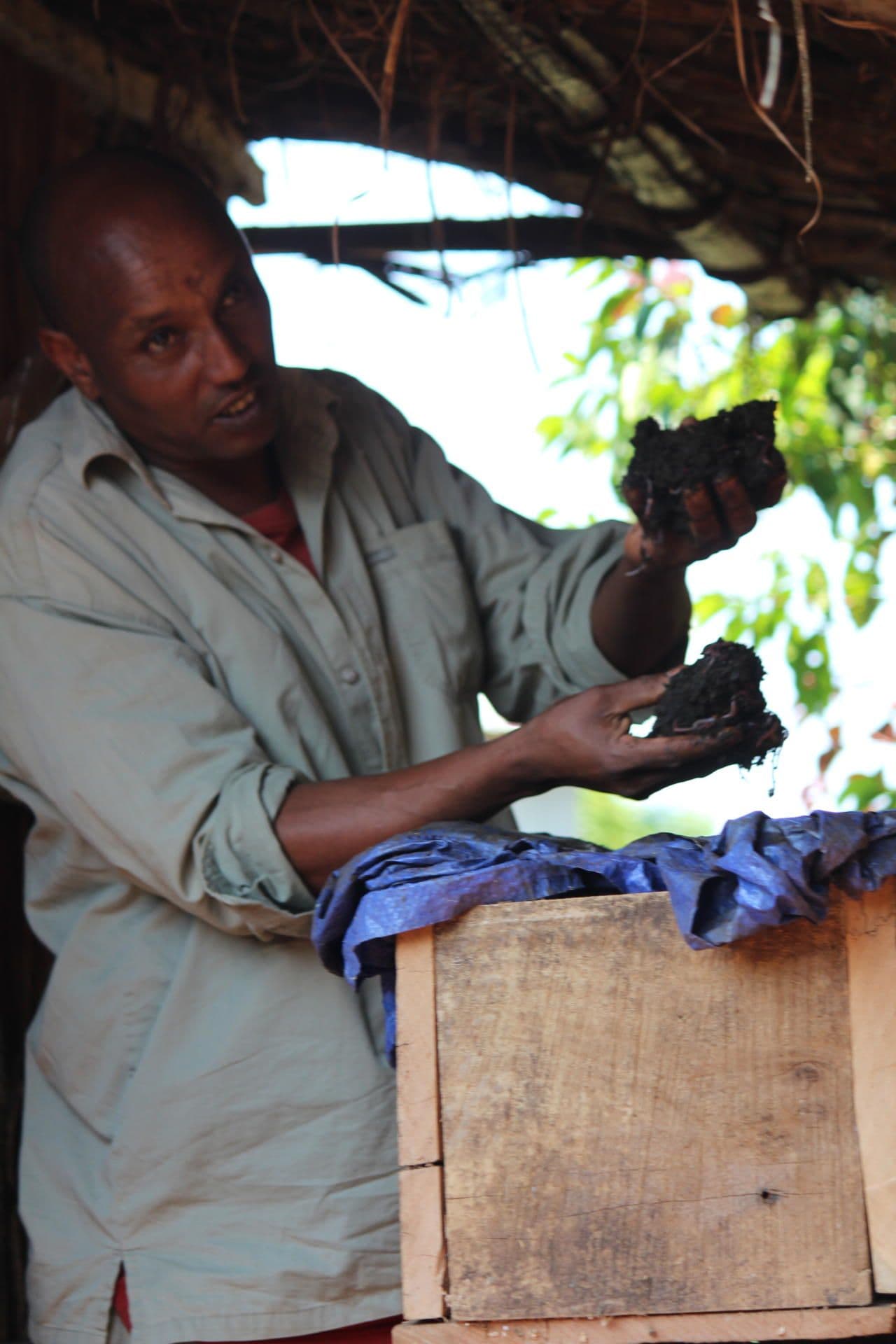 Eshetu shows their homemade compost Eshetu shows their homemade compost
