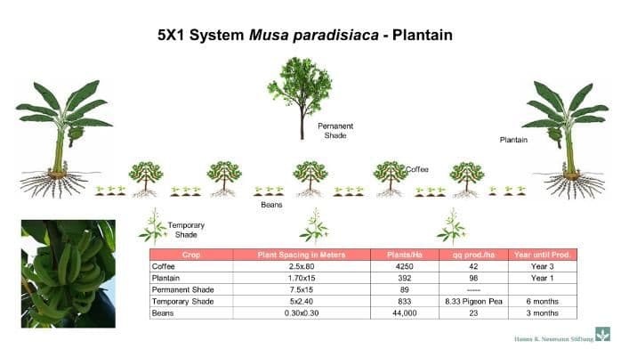 5X1 Diversification System 5X1 Diversification System