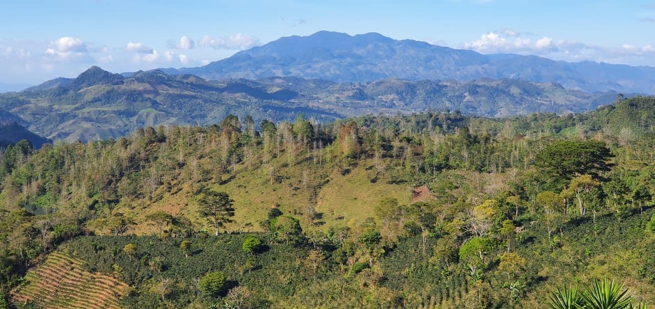 Bringing support to smallholder families in Central America amid COVID-19 Bringing support to smallholder families in Central America amid COVID-19