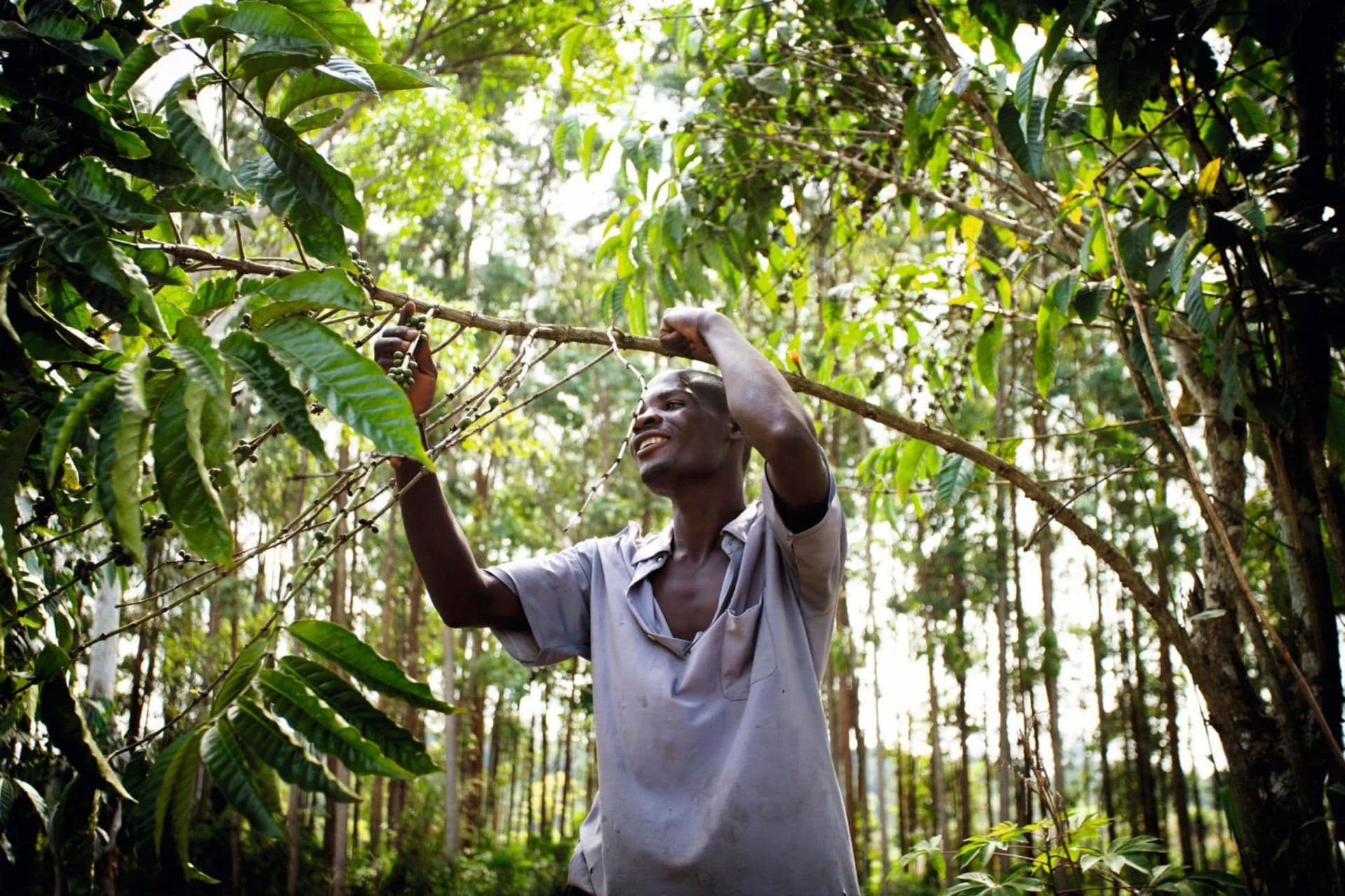 Youth Development Project: How Farming Can Become a Business