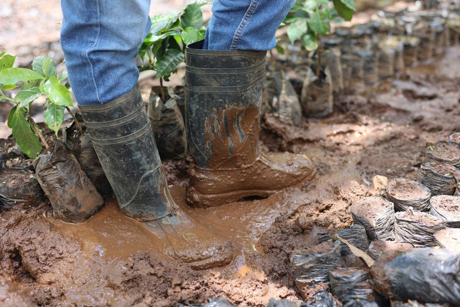 Muddy Boots Blog