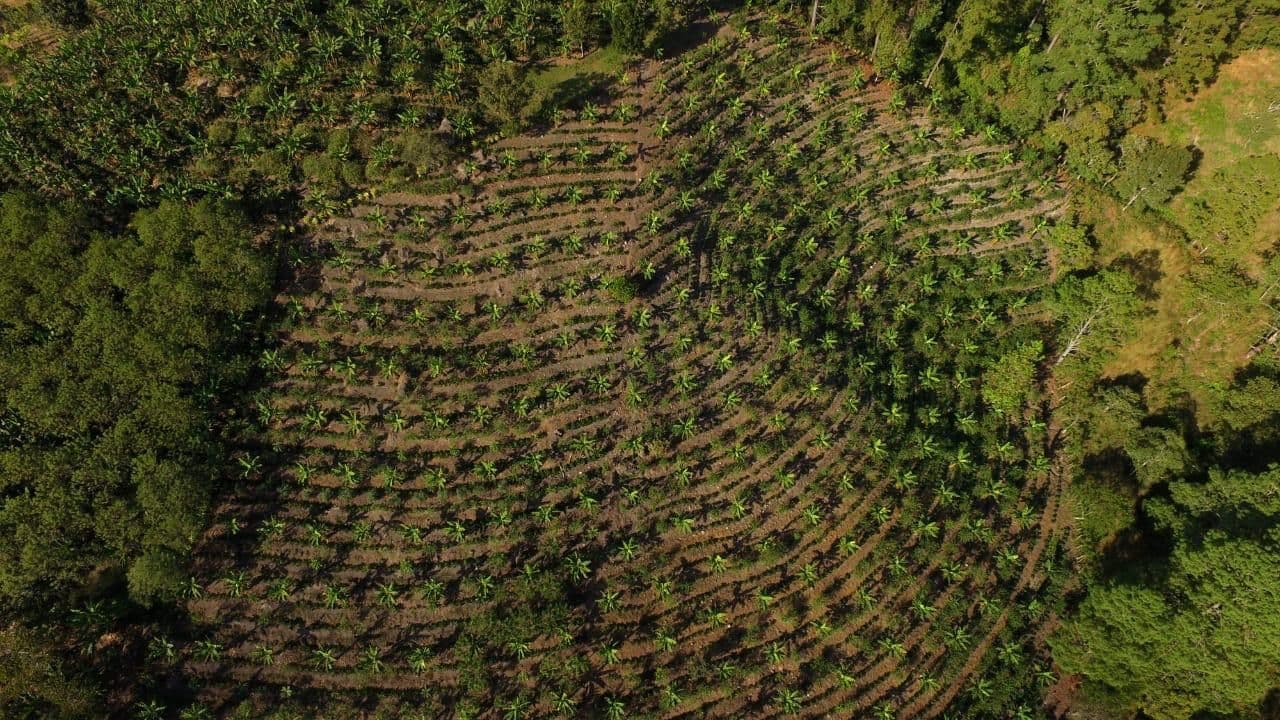 Climate-Smart Coffee is possible