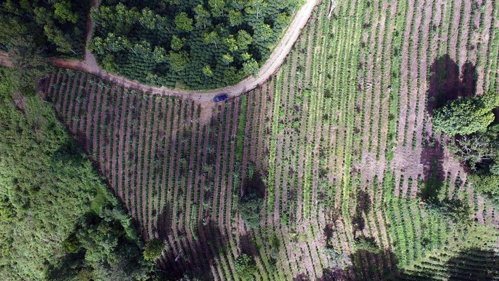 HRNS Joins the Cool Farm Alliance HRNS Joins the Cool Farm Alliance